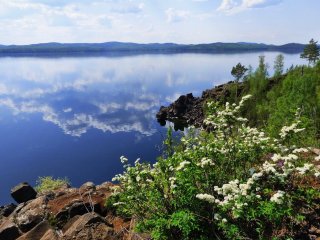 ilim24.ru