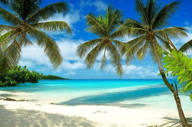 Красивый пляж, пальмы