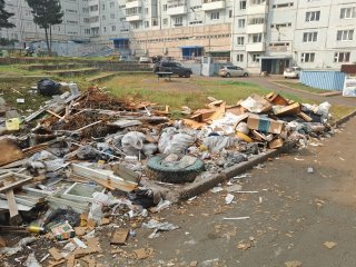 Усть-Илимск зарастает мусором