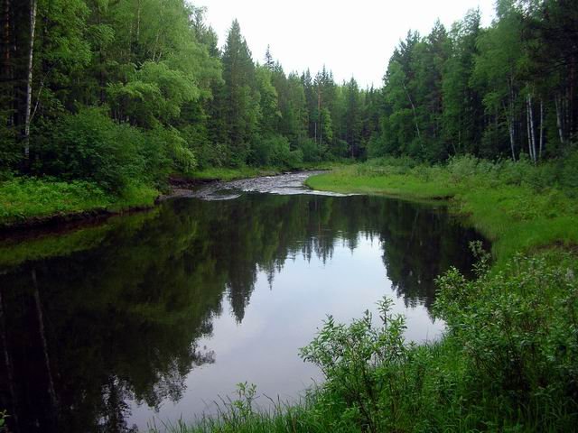 Река Карапчанка