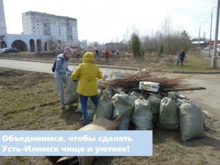 Месячник санитарной очистки пройдет в Усть-Илимске с 15 апреля по 30 мая