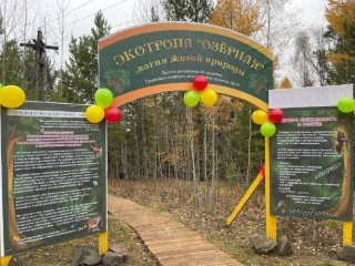 В Усть-Илимске открыли экологическую тропу «Озерная»